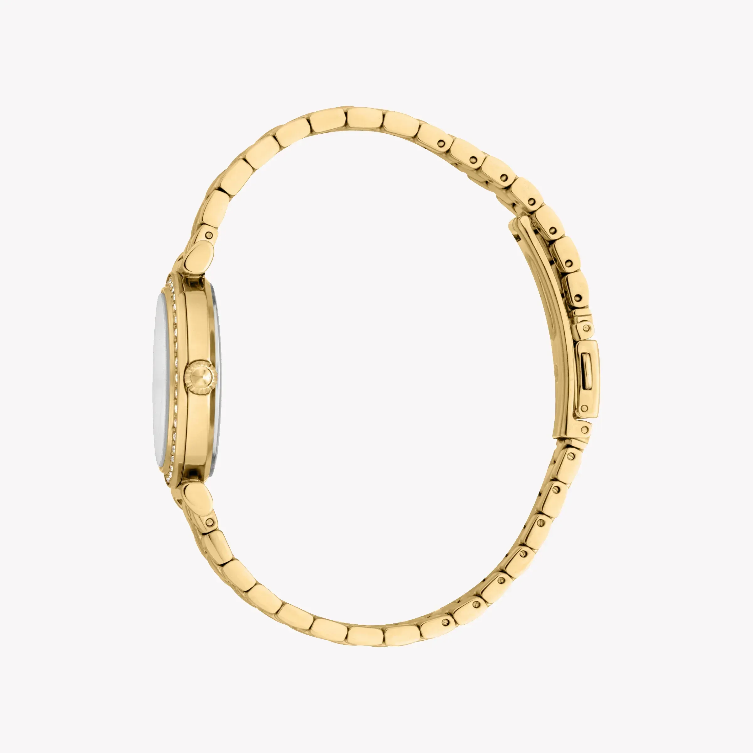 Just Cavalli Gold Stainless Steel Women's Watch JC1L273M0055