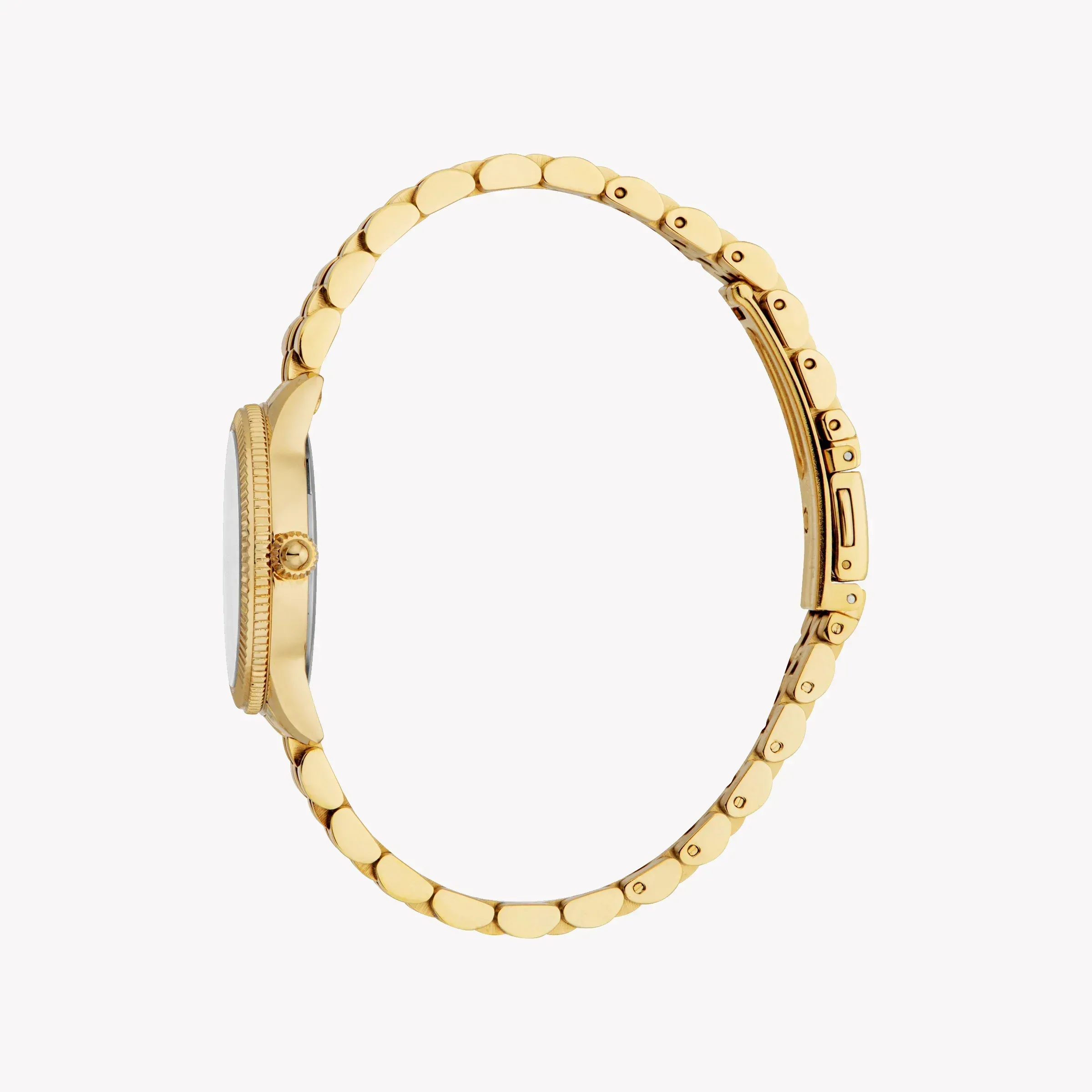 Just Cavalli Gold Steel Women's Watch JC1L315M0055